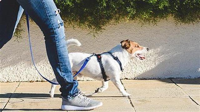 6 συμβουλές  για τον περίπατο