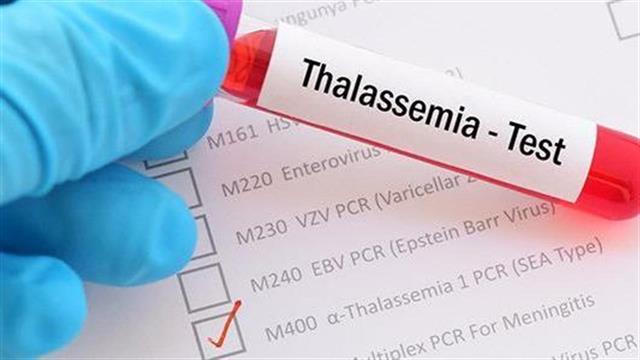 8η Μαΐου: Παγκόσμια Ημέρα Θαλασσαιμίας