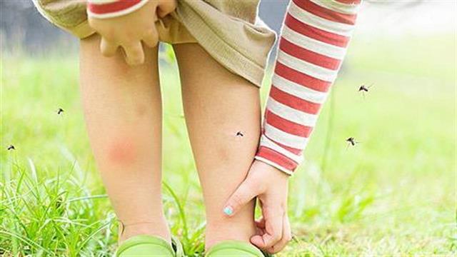 Ερευνα: Ο κορωνοϊός δεν μεταδίδεται με τα κουνούπια