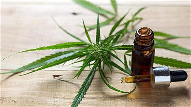 Μύθοι και αλήθειες για τη φαρμακευτική κάνναβη