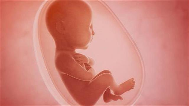 Το αποτύπωμα του νέου κορωνοϊού στον πλακούντα