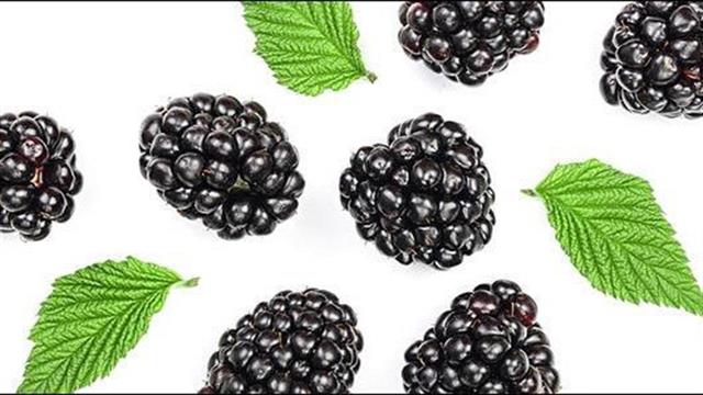 Πώς ωφελούν την υγεία τα βατόμουρα