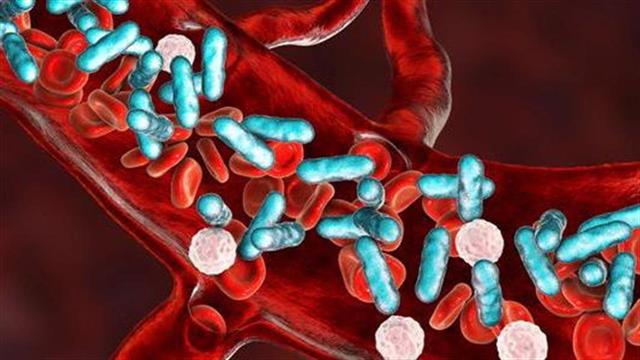 Βιταμίνες και στεροειδή δεν προστατεύουν τα όργανα κατά την σήψη