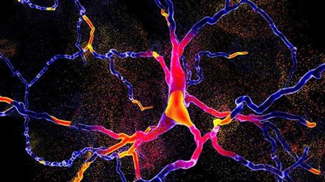 Οι ασθενείς με Πάρκινσον κινδυνεύουν ιδιαίτερα από τον κορωνοϊό