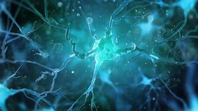 Το πρώτο "Google Earth" του εγκεφάλου