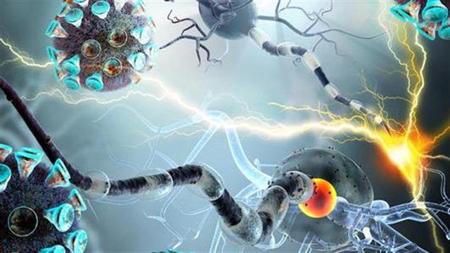 Ο SARS-CoV-2 επιτίθεται και στα εγκεφαλικά κύτταρα