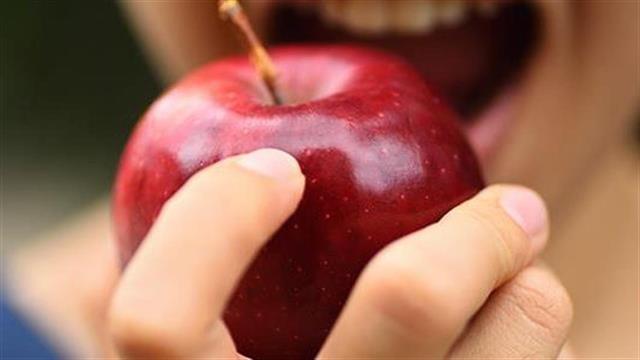 Οι καλύτερες τροφές για τους πνεύμονες