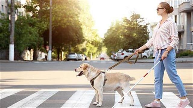 15 Οκτωβρίου: Ημέρα λευκού μπαστουνιού … σε περίοδο πανδημίας