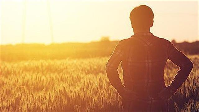 Η Bayer συμβάλλει στη μεταμόρφωση της βιομηχανίας τροφίμων μέσω της ενσωμάτωσης της καινοτομίας στη γεωργία