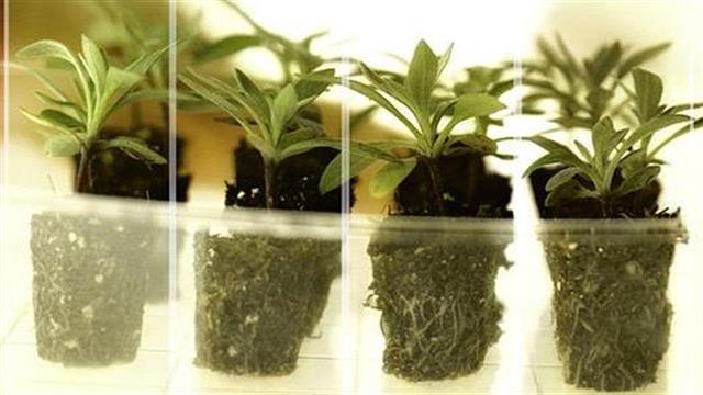 Στις 31 Οκτωβρίου 2020 η προθεσμία υποβολής στο πρόγραμμα χρηματοδότησης Grants4Ag