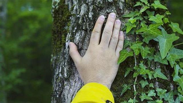 Έρευνα της Greenpeace στην Ελλάδα: Τι λένε οι πολίτες για το Περιβάλλον και την Υγεία