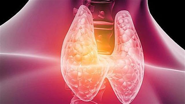 Μύθοι και αλήθειες για τον θυρεοειδή