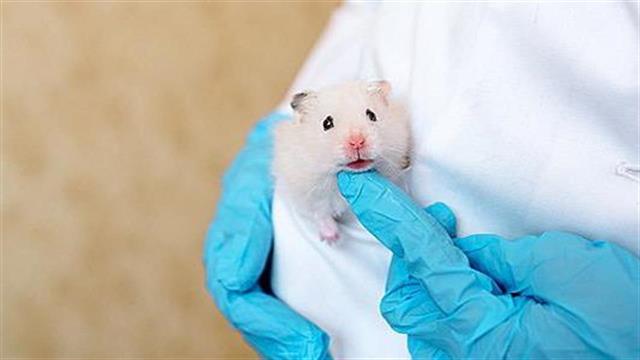 Ανοικτότητα στην Έρευνα με χρήση ζώων εργαστηρίου