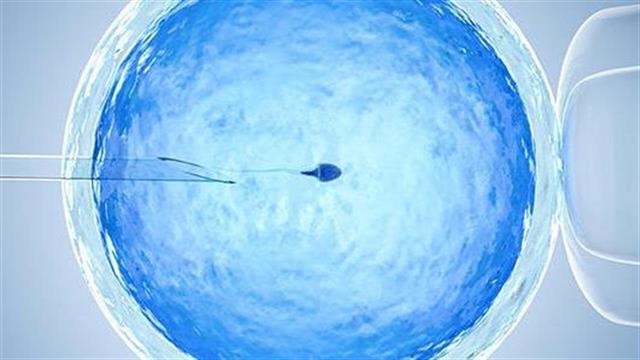 Συνδέεται η υποβοηθούμενη αναπαραγωγή με καρκίνο ωοθηκών;