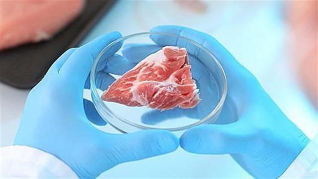 Κοτόπουλο εργαστηρίου θα αρχίσει να πωλείται στη Σιγκαπούρη