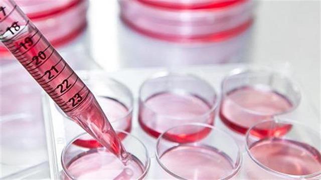 Σε άνοδο η αγορά κυτταροκαλλιέργειας