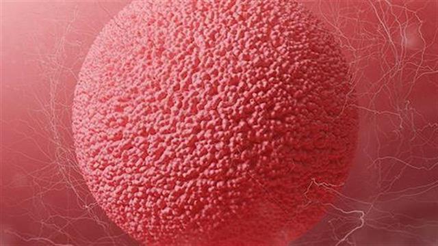 Ωορρηξία: Όσα πρέπει να ξέρετε