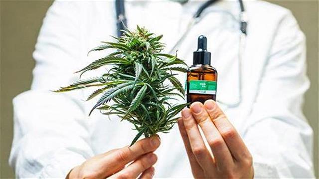 Μελέτη: Η φαρμακευτική κάνναβη βελτιώνει τις διαταραχές συμπεριφοράς σε ασθενείς με άνοια