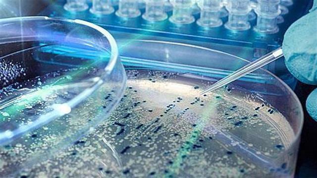 Έξυπνο χάπι" για το έντερο με την συνδρομή Ελληνίδας επιστήμονος