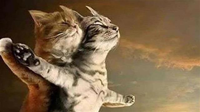 Απλοί τρόποι να δείξεις αγάπη στους γύρω σου