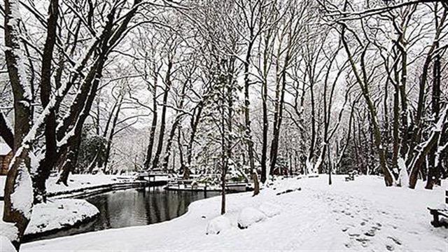 Τηλεφωνική γραμμή έκτακτης ανάγκης του  Δήμου Νάουσας, σε 24ωρη βάση