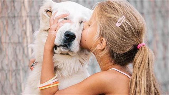 Οι σκύλοι συγχρονίζονται με τα παιδιά