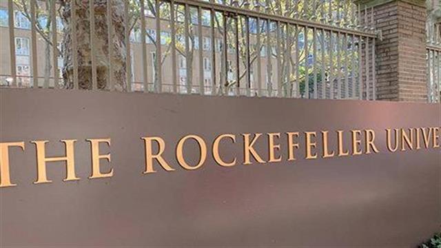Συμφωνία Bristol Myers Squibb και Πανεπιστημίου Rockefeller
