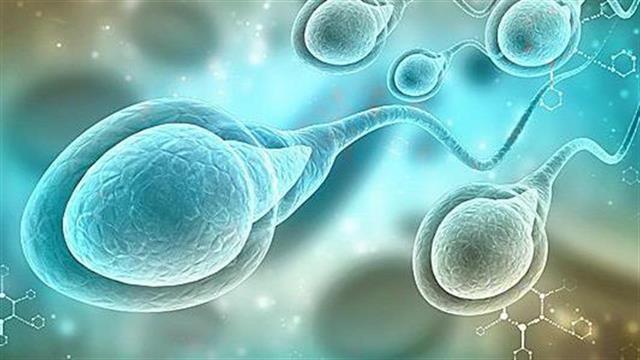 Ο κορωνοιϊός δεν μεταδίδεται με το σπέρμα