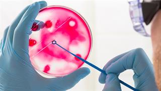 Ισραηλινοί επιστήμονες έσπασαν το ρεκόρ ανάπτυξης εμβρύου ποντικού εκτός μήτρας