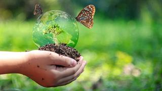 Περισσότερη βιοποικιλότητα για καλύτερη ψυχική υγεία;