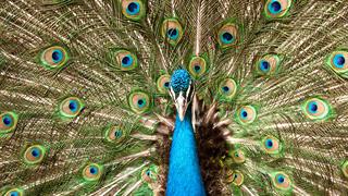 Είναι οκ να καυχιέστε για θετικά νέα!