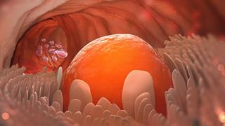 Η ηλικία της γυναίκας είναι ''κρίσιμη'' για το τελικό στάδιο της ωρίμανσης και της ποιότητας των ωαρίων