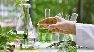 Στα 55,3 δισ.δολάρια θα φθάσει η αγορά φυτικών εκχυλισμάτων έως το 2026