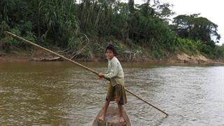 Φυλή του Αμαζονίου μπορεί να κρατά το κλειδί για την υγεία του εγκεφάλου που γερνά