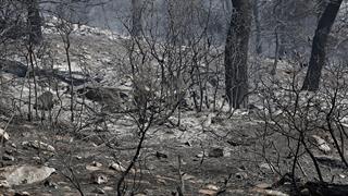 ΕΟΠΥΥ: Διευκολύνσεις στην παροχή φαρμάκων και στην περίθαλψη για τους πυρόπληκτους