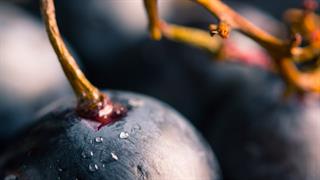 Δημιουργικοί τρόποι να απολαύσουμε τα σταφύλια