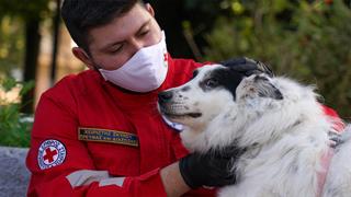 Ο Ελληνικός Ερυθρός Σταυρός στηρίζει τα αδέσποτα του καταφύγιου ζώων του Δήμου Αθηναίων