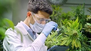 Κλινικές μελέτες για χορήγηση φαρμακευτικής κάνναβης σε παθήσεις, όπως Πάρκινσον και αυτισμό