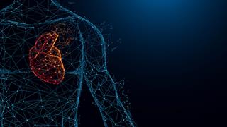 H Global Heart Hub και η Novartis συνεργάζονται για την αντιμετώπιση της αθηροσκληρωτικής καρδιαγγειακής νόσου