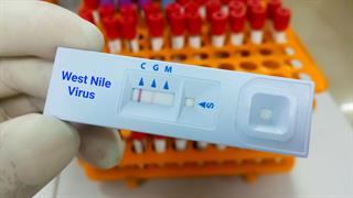 7 θάνατοι και 56 λοιμώξεις από τον ιό του Δυτικού Νείλου στην Ελλάδα [έκθεση ECDC]