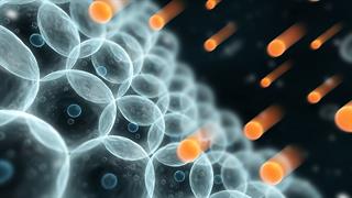 Ελεύθερες ρίζες: Επηρεάζουν όντως τη γήρανση;