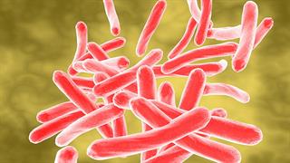 Ανθεκτικά βακτήρια σκότωσαν 1,2 εκατομμύρια ανθρώπους σε ένα  χρόνο
