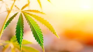 Οι ναρκωτικές ουσίες στον κόσμο