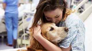 Σκύλοι θεραπείας μειώνουν τον πόνο και το άγχος ασθενών στα Επείγοντα 