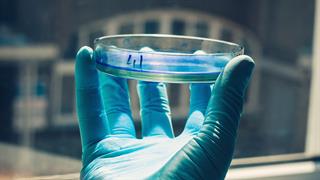 Ερευνητές εκτύπωσαν τρισδιάστατα κύτταρα όρχεων