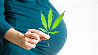 Χρήση κάνναβης στην εγκυμοσύνη συνδέεται με παχυσαρκία και αυξημένη γλυκόζη στο παιδί   