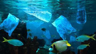 Επικίνδυνα μικρόβια ταξιδεύουν στους ωκεανούς με τα μικροπλαστικά και καταλήγουν στο νερό και στα τρόφιμα