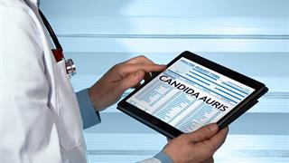 ΕΟΔΥ: Τι είναι και πώς μεταδίδεται ο μύκητας Candida auris