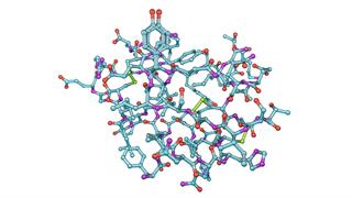 Πρώτη Ευρωπαϊκή Ημέρα Ορμονών