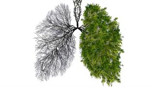 Το κάπνισμα είναι χρόνια νόσος και του πλανήτη